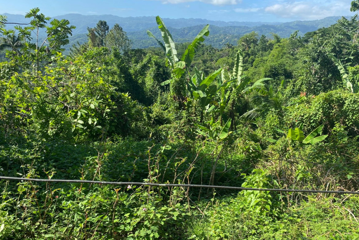 Eighth image of Part Red Hills Clarendon in Red Hills, Clarendon, Jamaica - property is For Sale