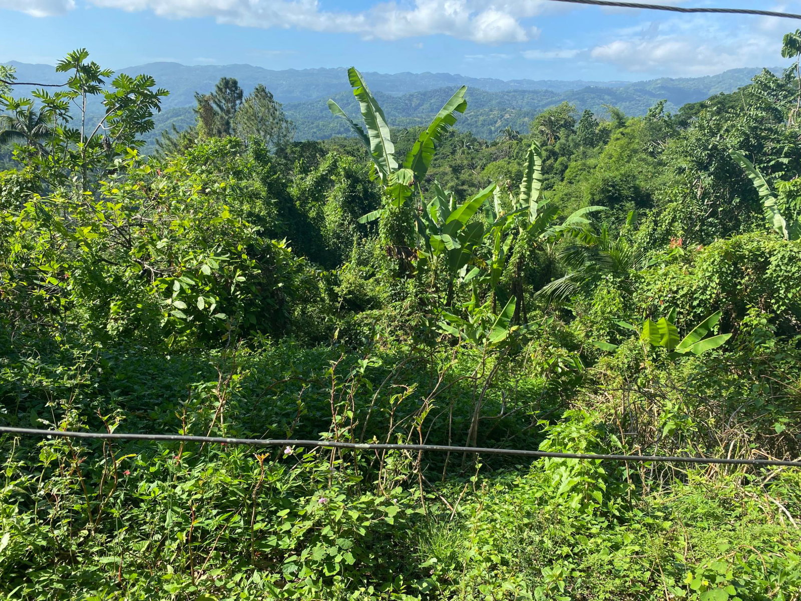 Eighth image of Part Red Hills Clarendon in Red Hills, Clarendon, Jamaica - property is For Sale