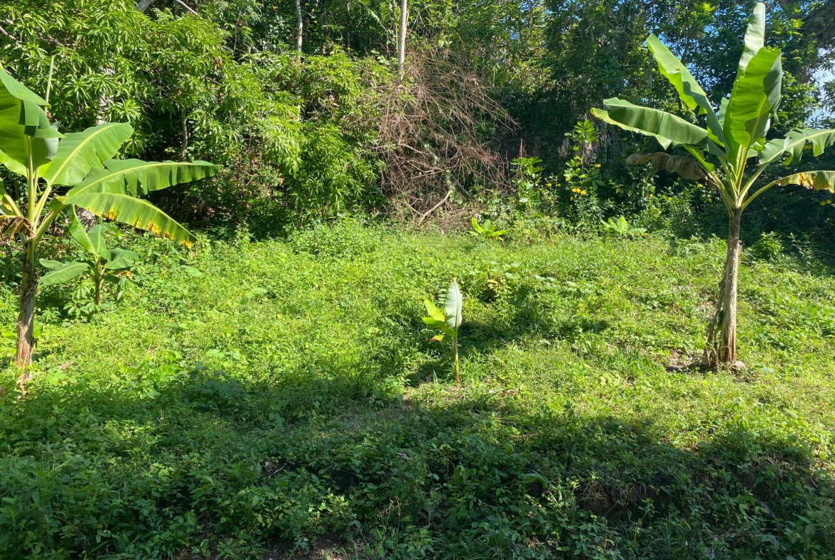 Ninth image of Part Red Hills Clarendon in Red Hills, Clarendon, Jamaica - property is For Sale