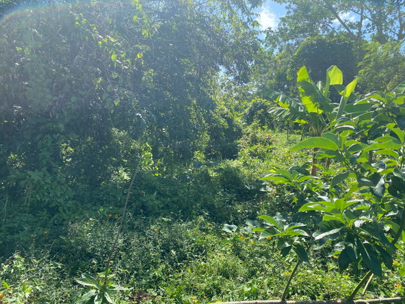 First image of Part Red Hills Clarendon in Red Hills, Clarendon, Jamaica - property is For Sale
