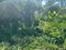 First image of Part Red Hills Clarendon in Red Hills, Clarendon, Jamaica - property is For Sale