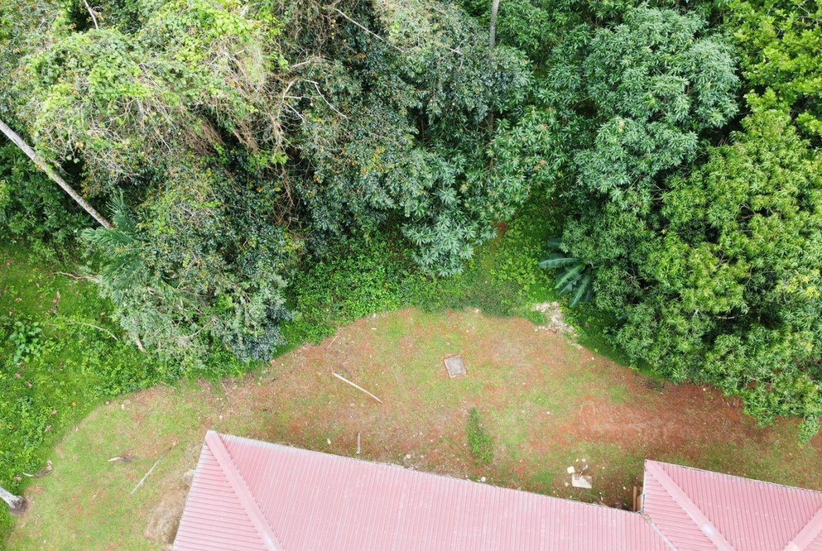 Seventeenth image of Part of Porus in Porus, Manchester, Jamaica - property is For Sale