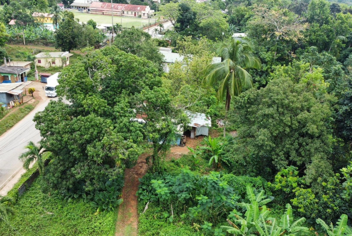 Eighteenth image of Part of Porus in Porus, Manchester, Jamaica - property is For Sale