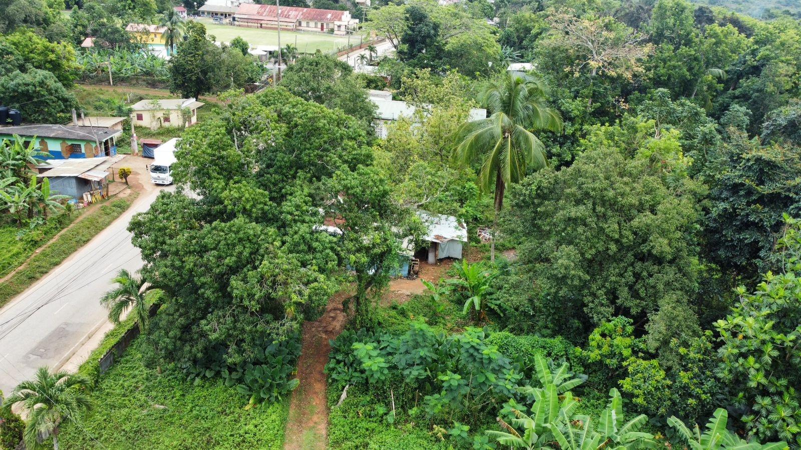 3.84-Acre-Multi-Family-Property-For-Sale-in-Porus-Manchester-2-3-Bed-Homes-Prime-Main-Road-Location Eighteenth image of Part of Porus in Porus, Manchester, Jamaica - property is For Sale