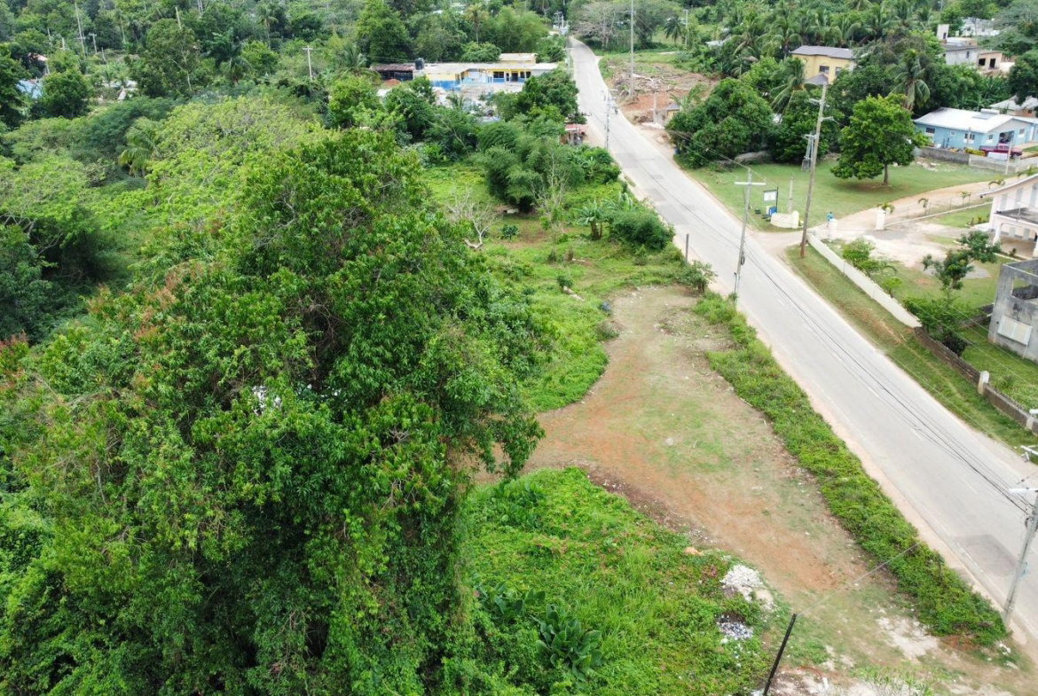 Nineteenth image of Part of Porus in Porus, Manchester, Jamaica - property is For Sale