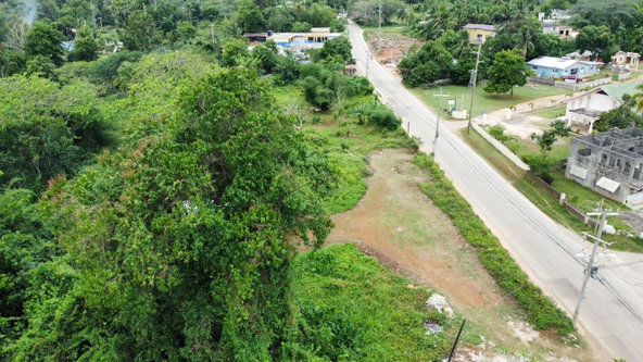 Nineteenth image of Part of Porus in Porus, Manchester, Jamaica - property is For Sale