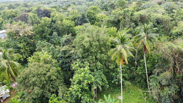 Twentieth image of Part of Porus in Porus, Manchester, Jamaica - property is For Sale