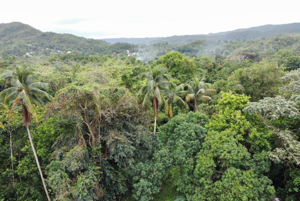 Twenty-First image of Part of Porus in Porus, Manchester, Jamaica - property is For Sale