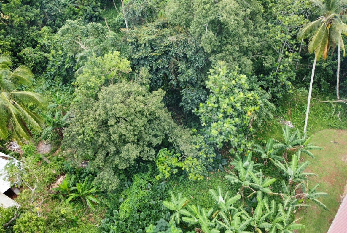 Twenty-Third image of Part of Porus in Porus, Manchester, Jamaica - property is For Sale