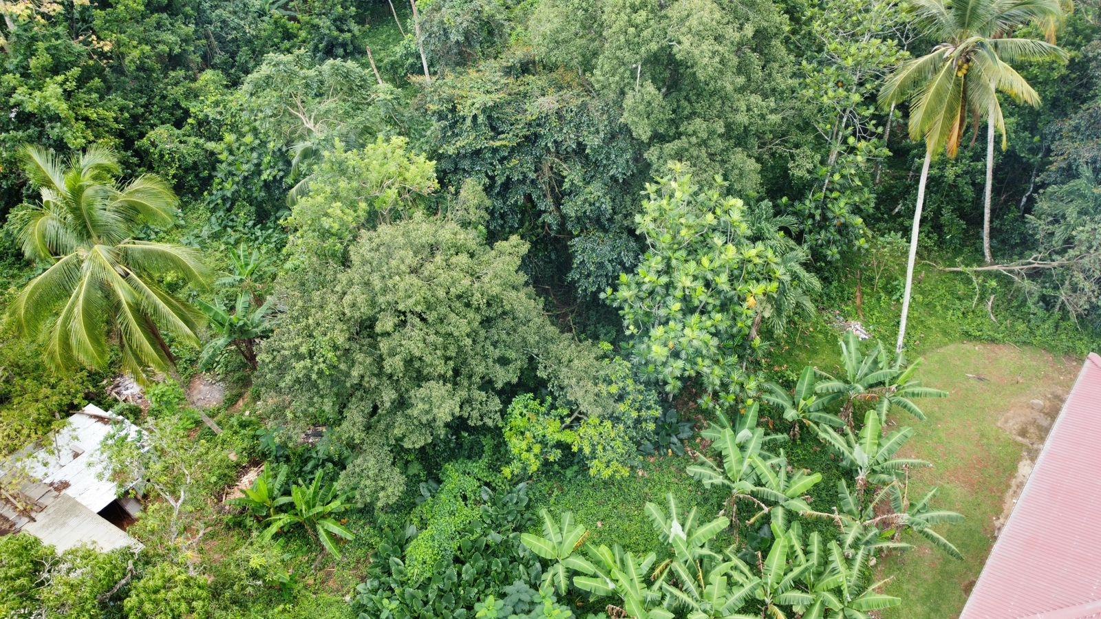 3.84-Acre-Multi-Family-Property-For-Sale-in-Porus-Manchester-2-3-Bed-Homes-Prime-Main-Road-Location Twenty-Third image of Part of Porus in Porus, Manchester, Jamaica - property is For Sale