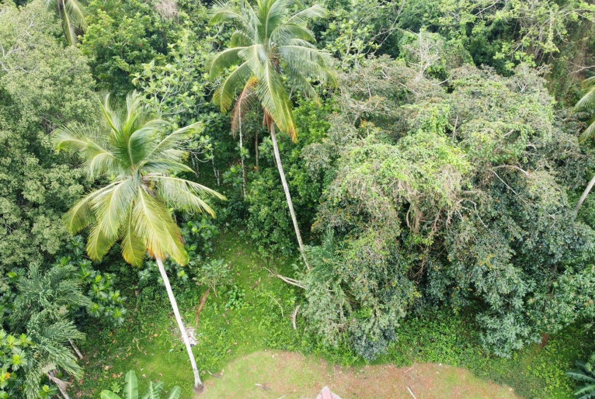 Twenty-Fourth image of Part of Porus in Porus, Manchester, Jamaica - property is For Sale