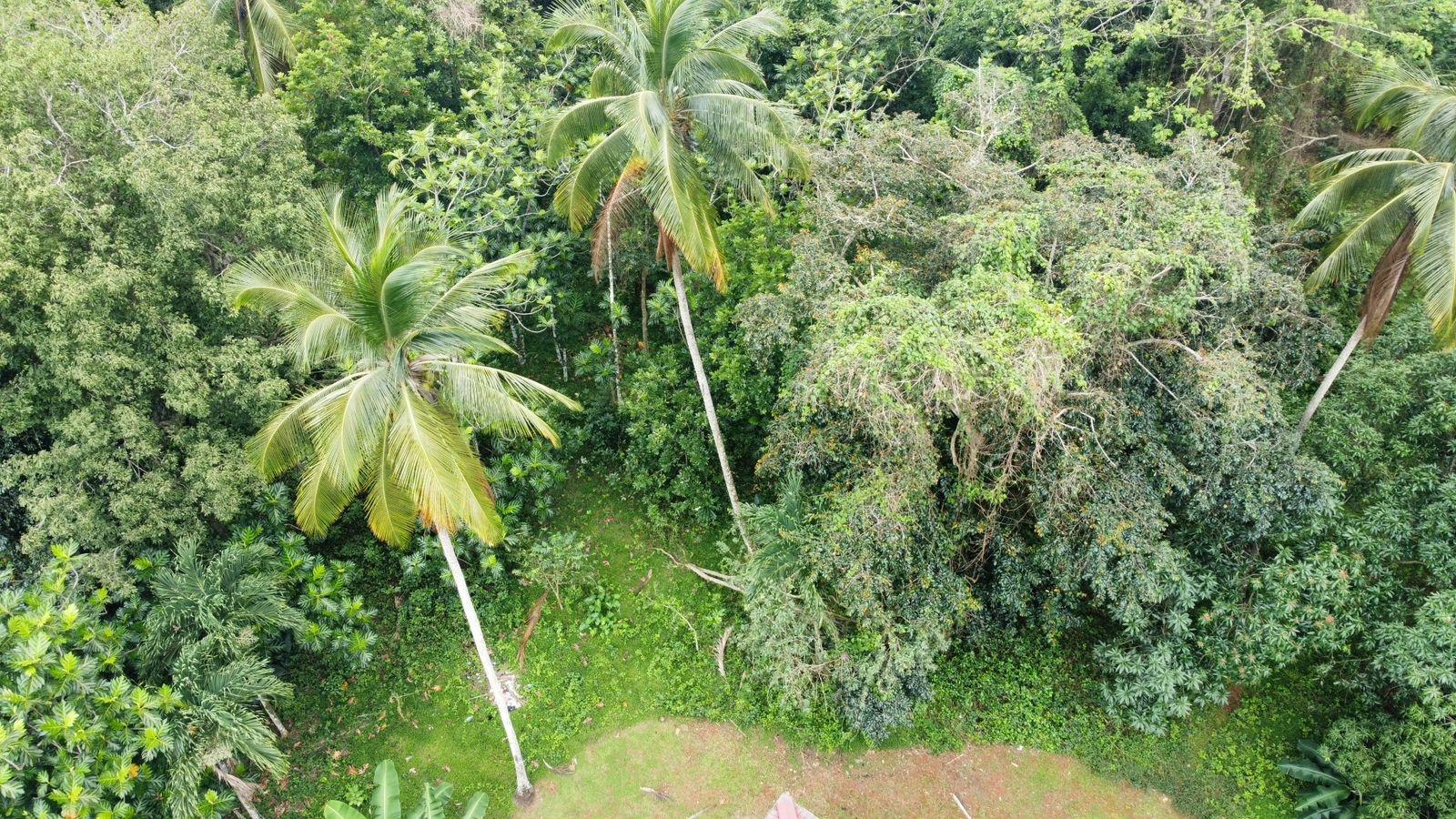 3.84-Acre-Multi-Family-Property-For-Sale-in-Porus-Manchester-2-3-Bed-Homes-Prime-Main-Road-Location Twenty-Fourth image of Part of Porus in Porus, Manchester, Jamaica - property is For Sale