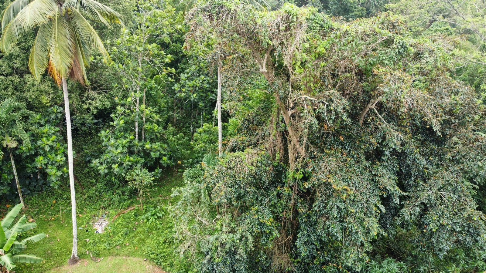 3.84-Acre-Multi-Family-Property-For-Sale-in-Porus-Manchester-2-3-Bed-Homes-Prime-Main-Road-Location Twenty-Fifth image of Part of Porus in Porus, Manchester, Jamaica - property is For Sale