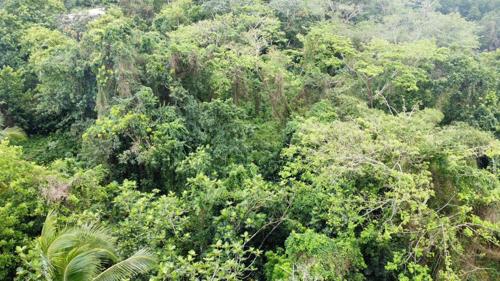 3.84-Acre-Multi-Family-Property-For-Sale-in-Porus-Manchester-2-3-Bed-Homes-Prime-Main-Road-Location Twenty-Sixth image of Part of Porus in Porus, Manchester, Jamaica - property is For Sale