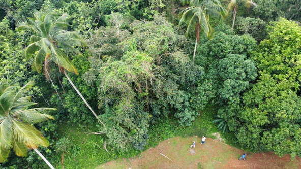 Twenty-Eighth image of Part of Porus in Porus, Manchester, Jamaica - property is For Sale