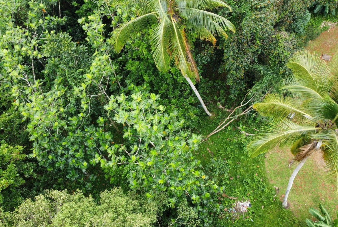 Thirtieth image of Part of Porus in Porus, Manchester, Jamaica - property is For Sale