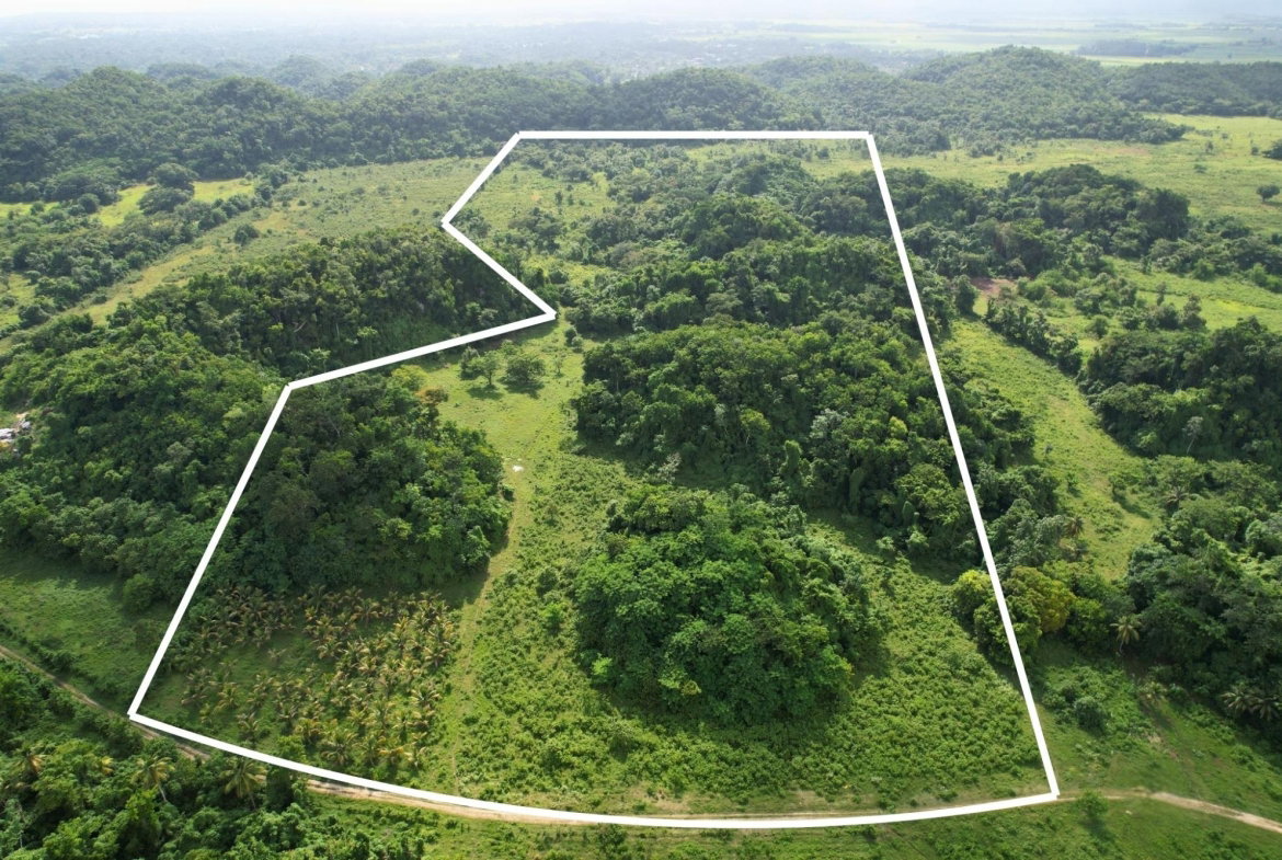 First image of Carawina in Petersfield, Westmoreland, Jamaica - property is For Sale