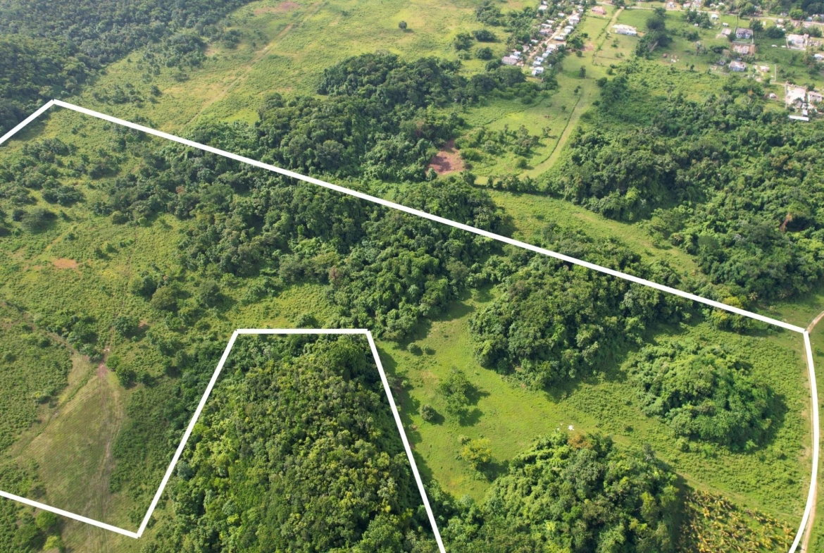 Fourth image of Carawina in Petersfield, Westmoreland, Jamaica - property is For Sale