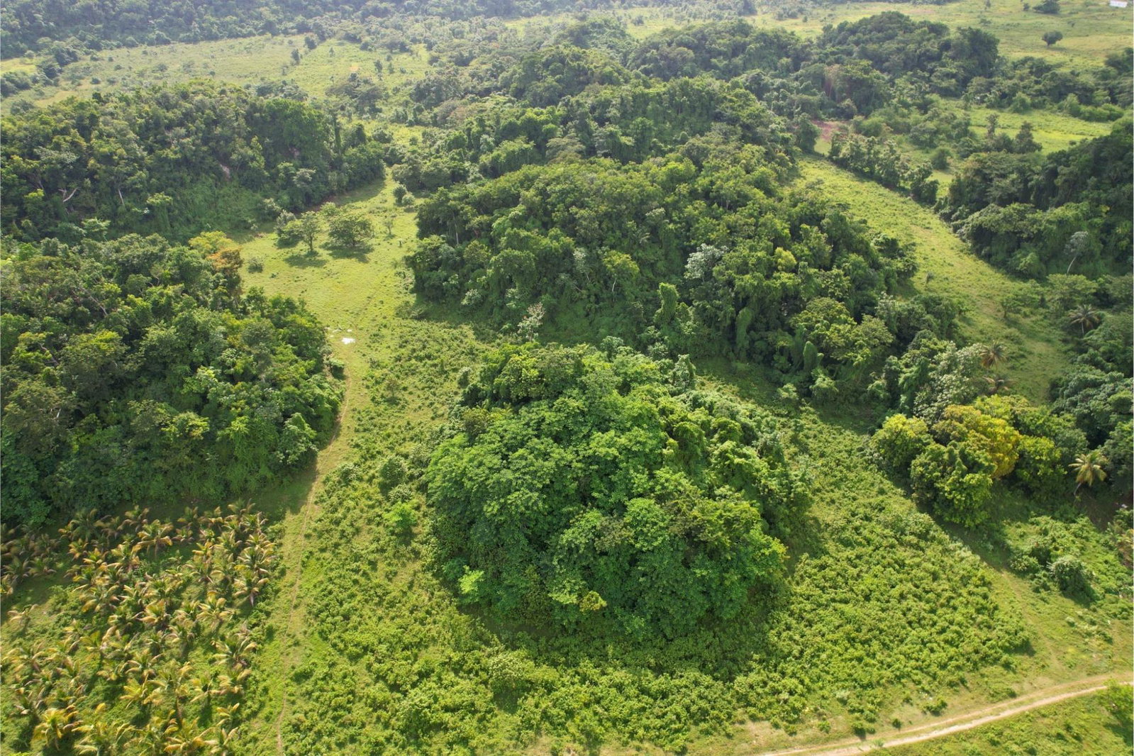 30-Acres-Development-Land-for-Sale-in-Carawina-Westmoreland-Jamaica Fifth image of Carawina in Petersfield, Westmoreland, Jamaica - property is For Sale