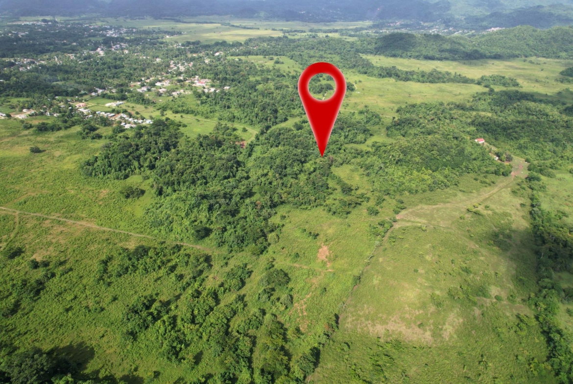 Sixth image of Carawina in Petersfield, Westmoreland, Jamaica - property is For Sale