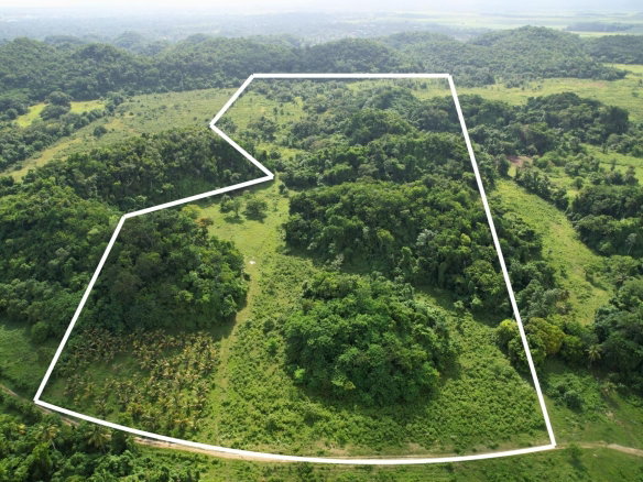 First image of Carawina in Petersfield, Westmoreland, Jamaica - property is For Sale