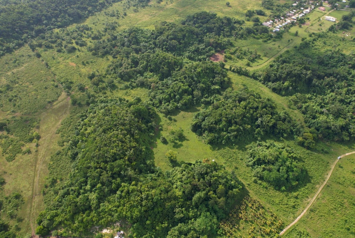 Seventh image of Carawina in Petersfield, Westmoreland, Jamaica - property is For Sale
