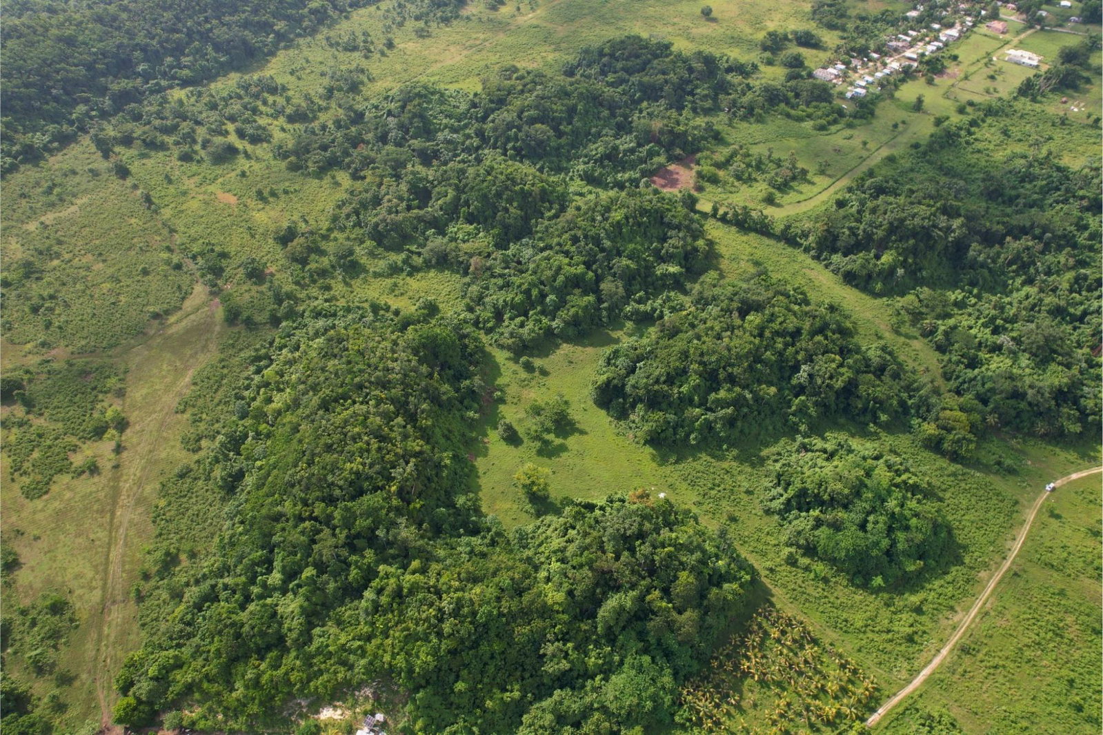 30-Acres-Development-Land-for-Sale-in-Carawina-Westmoreland-Jamaica Seventh image of Carawina in Petersfield, Westmoreland, Jamaica - property is For Sale