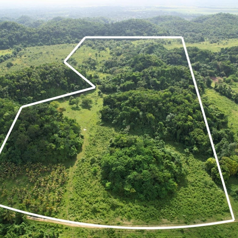 First image of Carawina in Petersfield, Westmoreland, Jamaica - property is For Sale