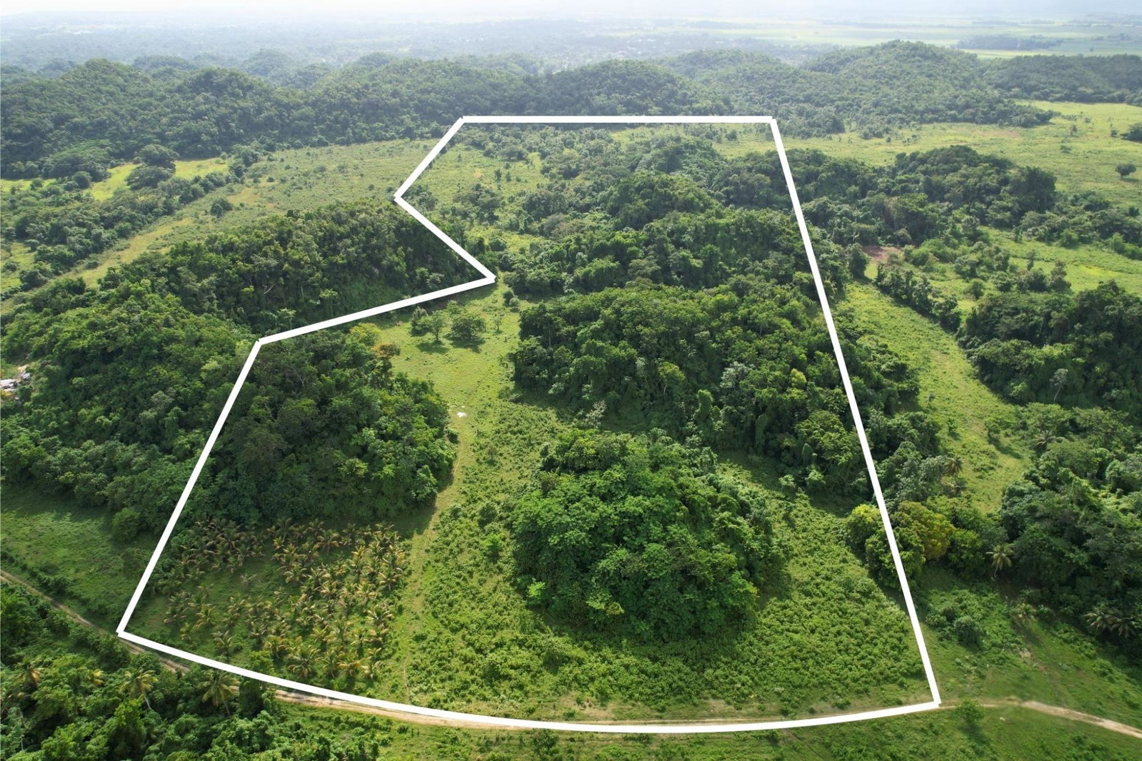 30-Acres-Development-Land-for-Sale-in-Carawina-Westmoreland-Jamaica First image of Carawina in Petersfield, Westmoreland, Jamaica - property is For Sale