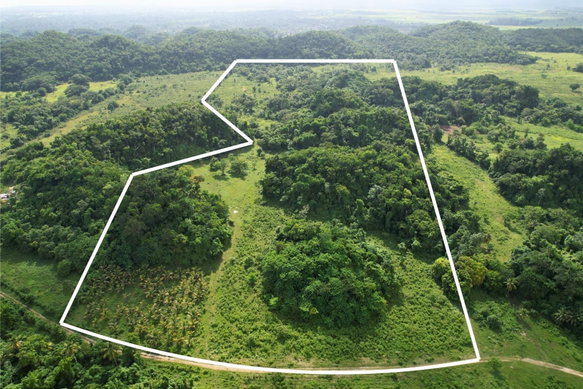 First image of Carawina in Petersfield, Westmoreland, Jamaica - property is For Sale