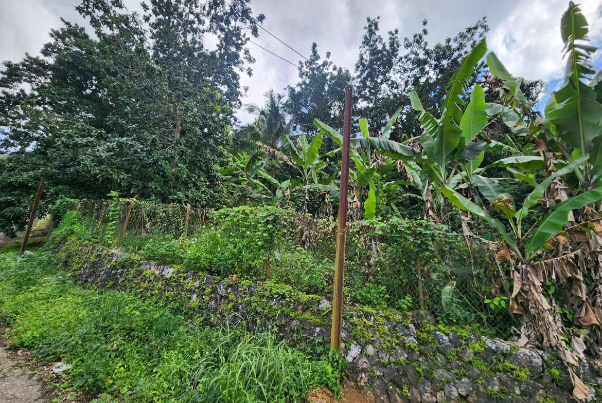 Sixteenth image of 30 Christopher Drive in Kingston 9, St. Andrew, Jamaica - property is For Sale