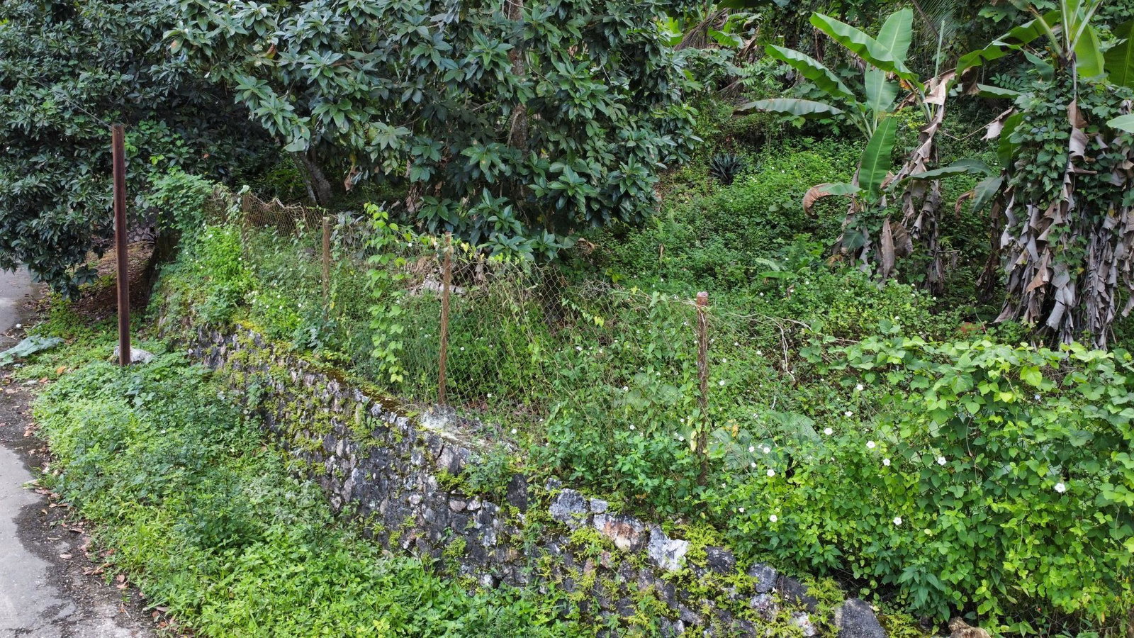 Seventeenth image of 30 Christopher Drive in Kingston 9, St. Andrew, Jamaica - property is For Sale