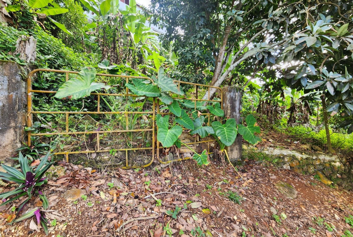 Eighteenth image of 30 Christopher Drive in Kingston 9, St. Andrew, Jamaica - property is For Sale