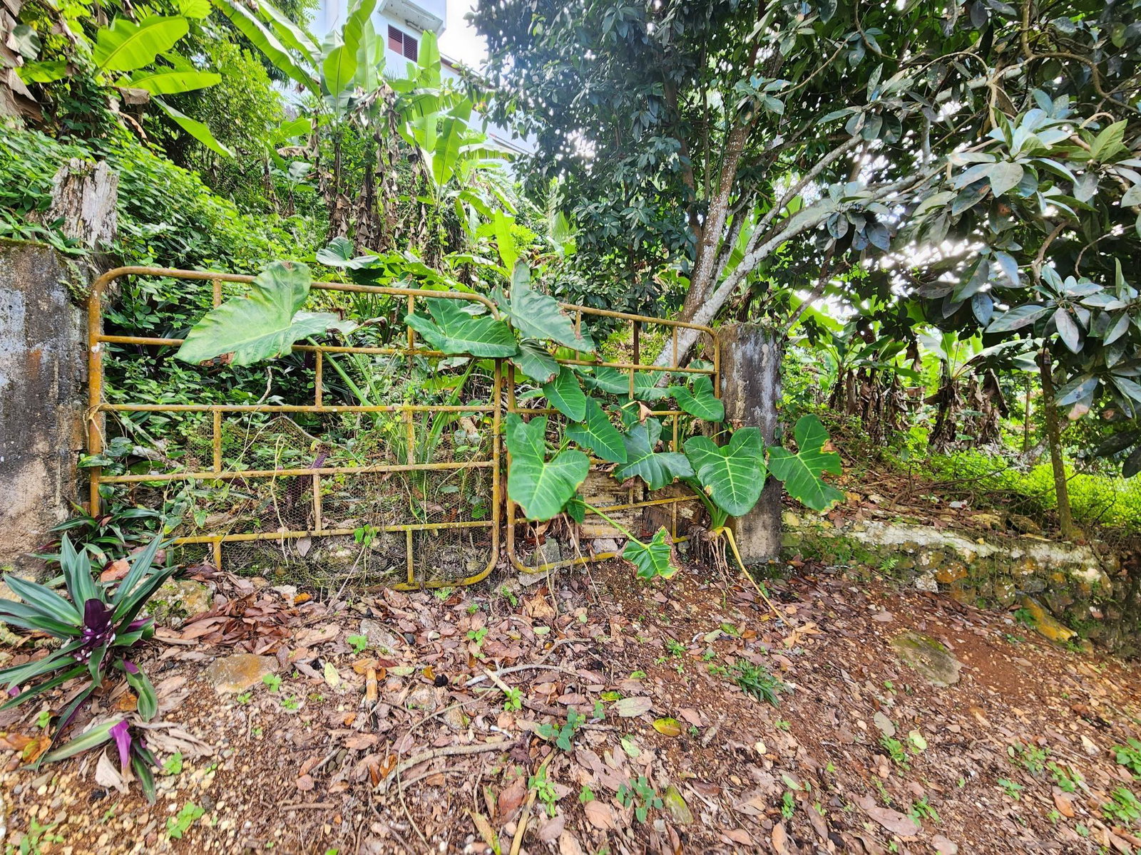 Eighteenth image of 30 Christopher Drive in Kingston 9, St. Andrew, Jamaica - property is For Sale