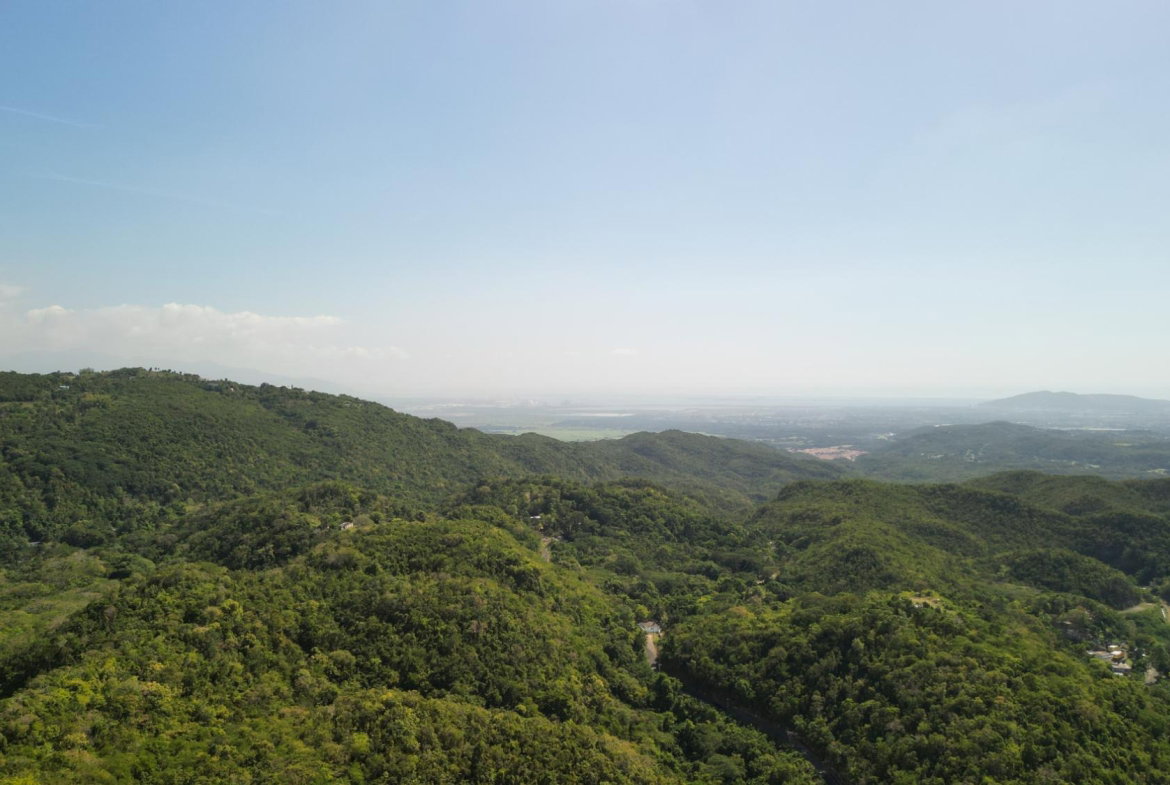 Sixth image of Patton Park in Mount Moreland, St. Catherine, Jamaica - property is For Sale