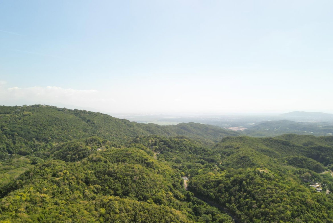 Seventh image of Patton Park in Mount Moreland, St. Catherine, Jamaica - property is For Sale