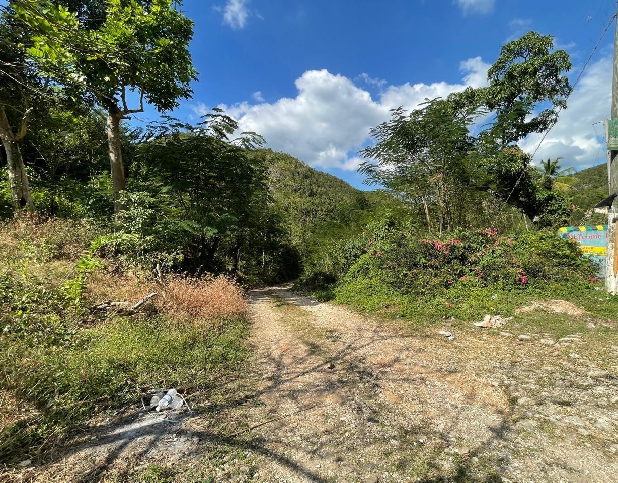 31-Acre-Development-Land-For-Sale-in-Sligoville-St.-Catherine-Jamaica-—-Prime-Investment-Near-Norman-Manley-Airport Tenth image of Patton Park in Mount Moreland, St. Catherine, Jamaica - property is For Sale