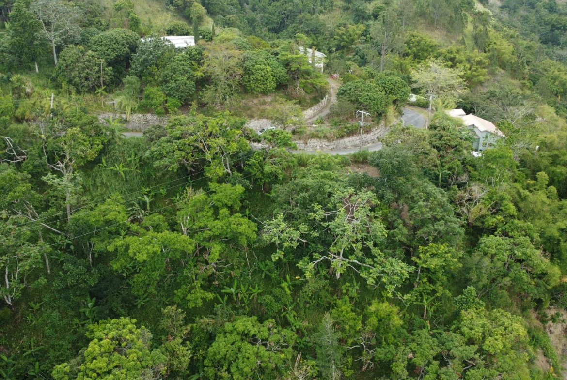 Third image of 5- New Grange in Woodford P.O., St. Andrew, Jamaica - property is For Sale