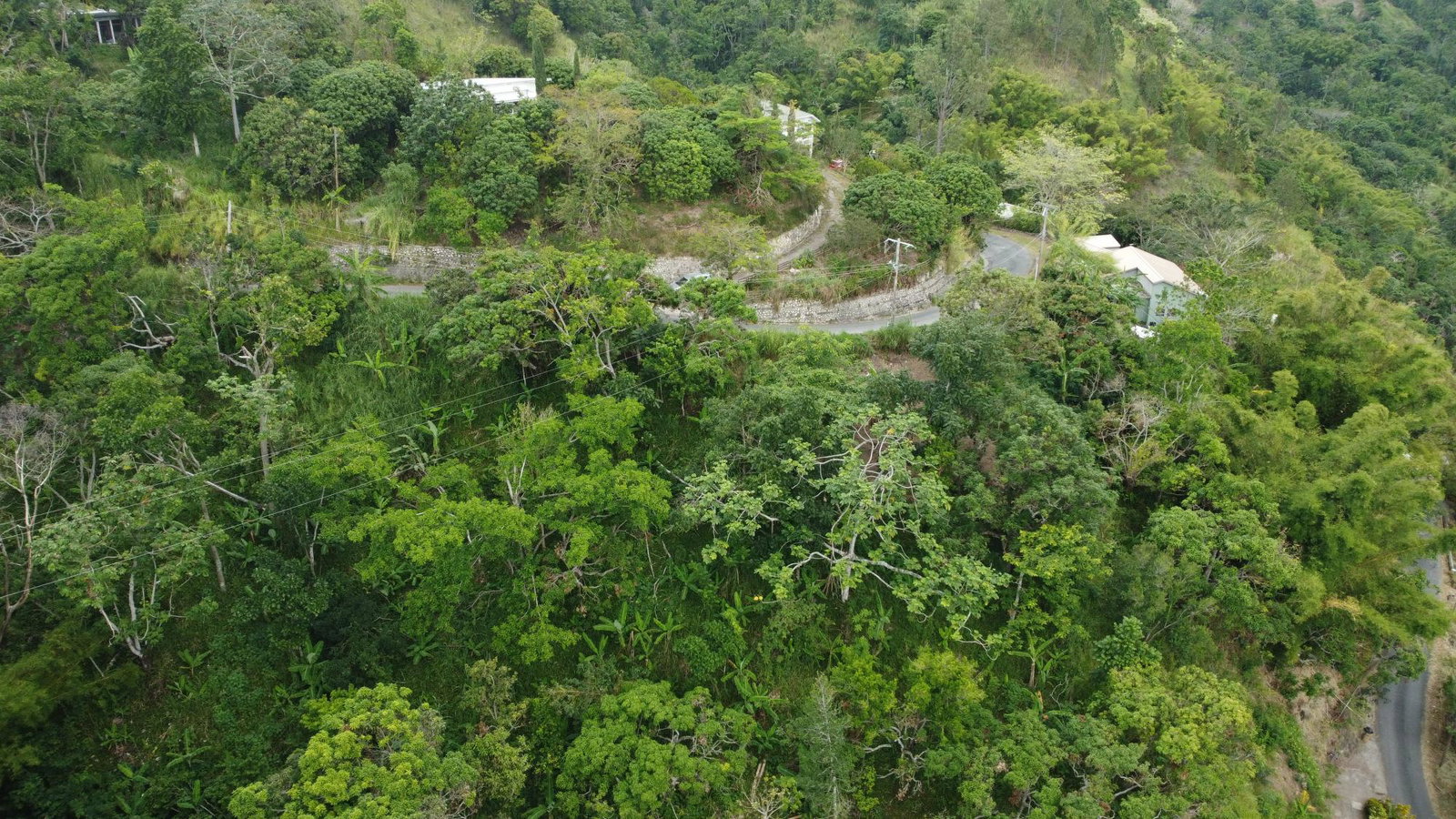 Third image of 5- New Grange in Woodford P.O., St. Andrew, Jamaica - property is For Sale