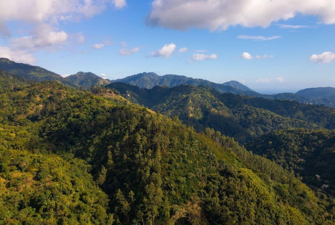 Sixth image of 5- New Grange in Woodford P.O., St. Andrew, Jamaica - property is For Sale