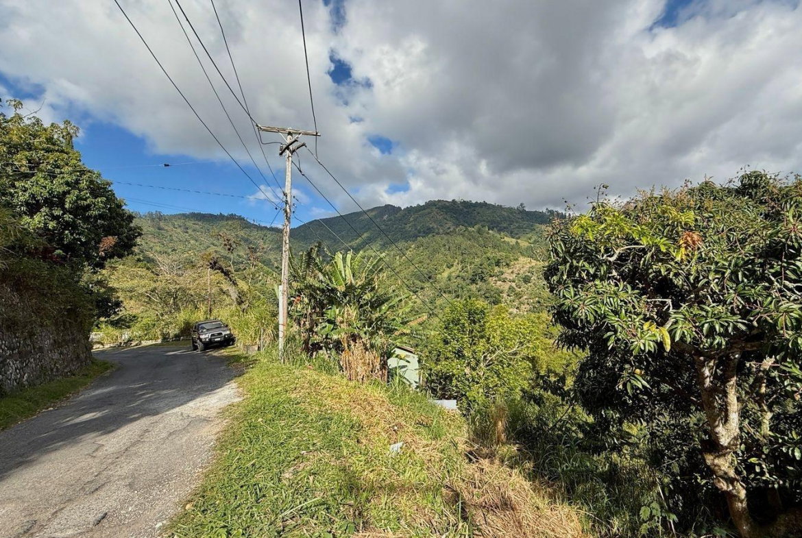 Seventh image of 5- New Grange in Woodford P.O., St. Andrew, Jamaica - property is For Sale
