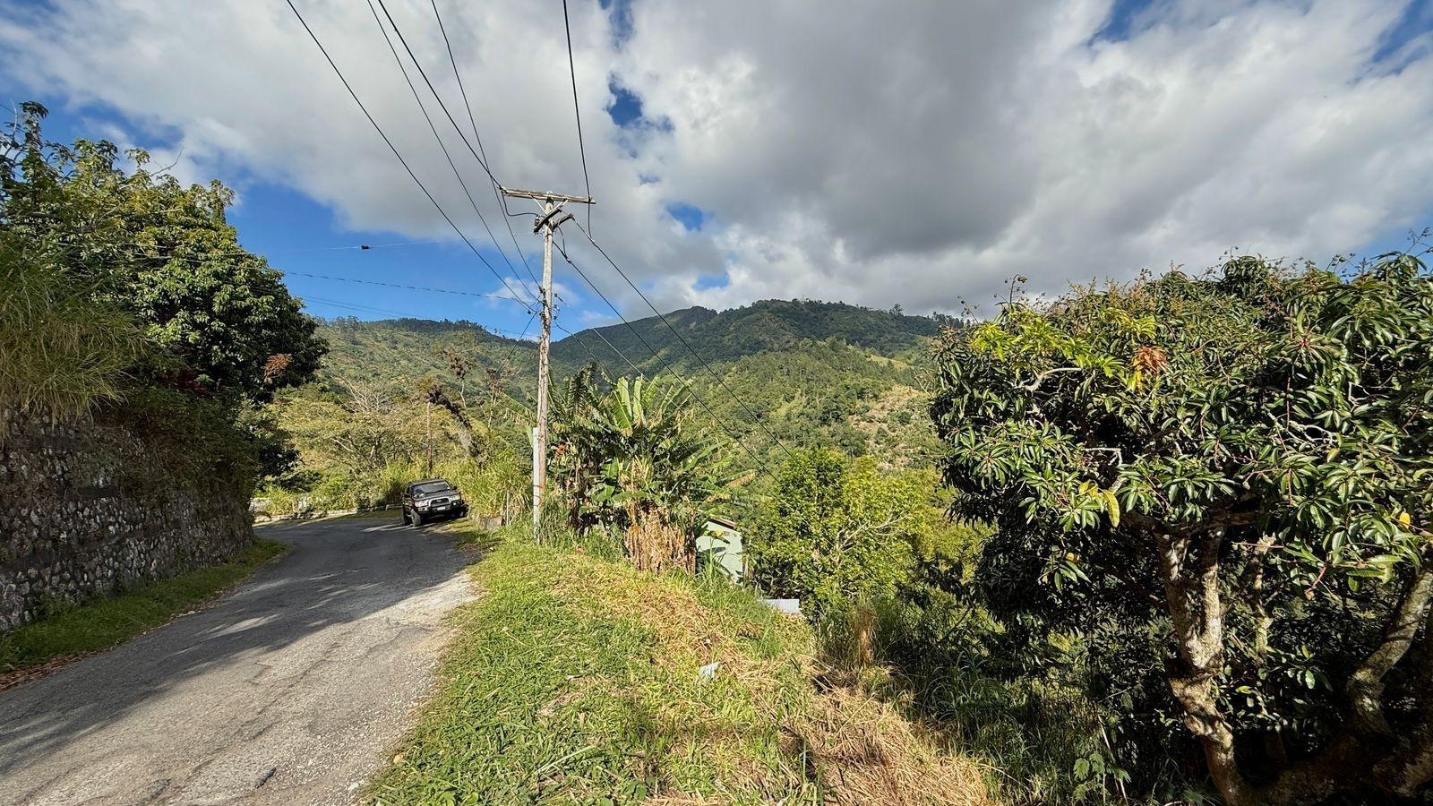 Seventh image of 5- New Grange in Woodford P.O., St. Andrew, Jamaica - property is For Sale