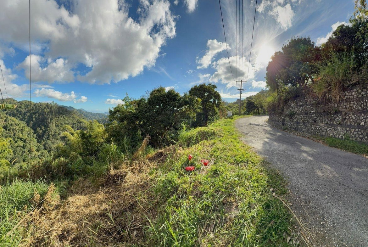 Eighth image of 5- New Grange in Woodford P.O., St. Andrew, Jamaica - property is For Sale