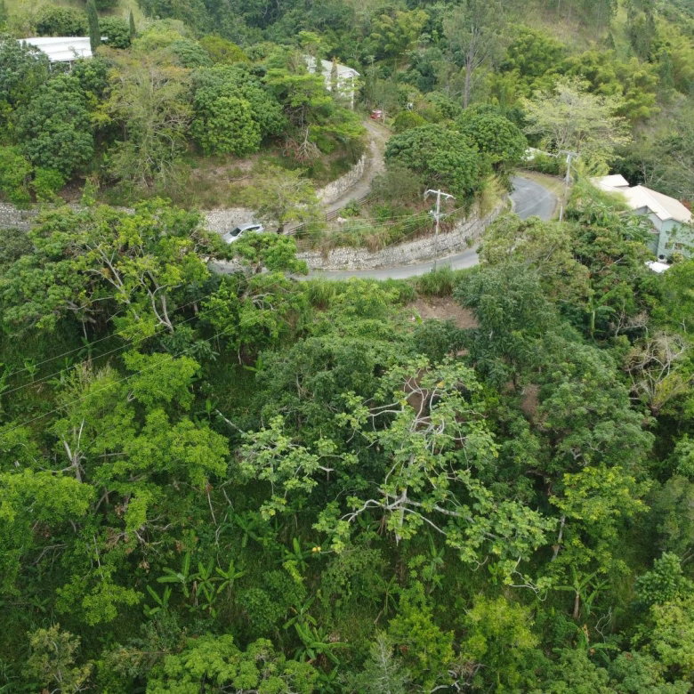 First image of 5- New Grange in Woodford P.O., St. Andrew, Jamaica - property is For Sale