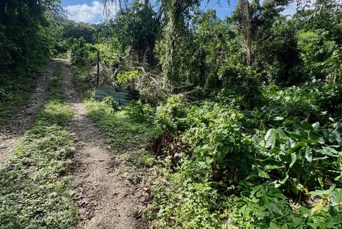 Eleventh image of 3-7 Hart Hill in Port Antonio, Portland, Jamaica - property is For Sale