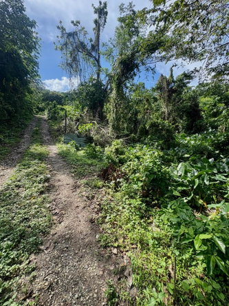 Eleventh image of 3-7 Hart Hill in Port Antonio, Portland, Jamaica - property is For Sale