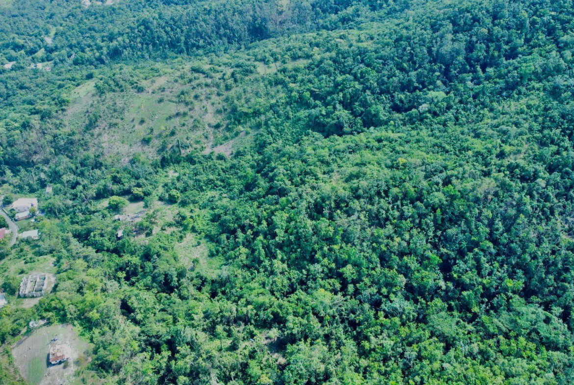 Sixth image of 3-7 Hart Hill in Port Antonio, Portland, Jamaica - property is For Sale