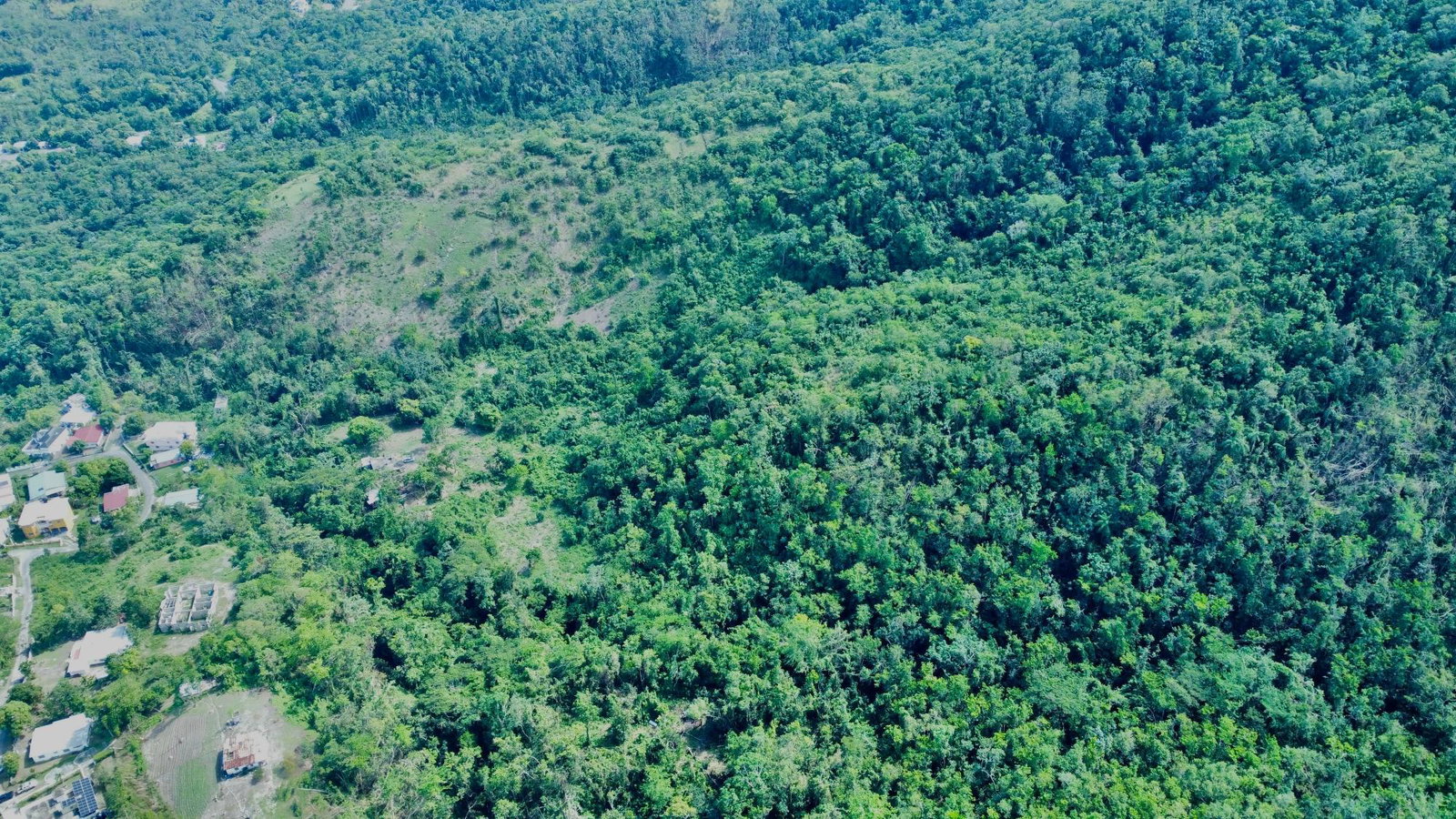 35-Acres-Development-Land-for-Sale-in-Hart-Hill-Portland-Jamaica Sixth image of 3-7 Hart Hill in Port Antonio, Portland, Jamaica - property is For Sale