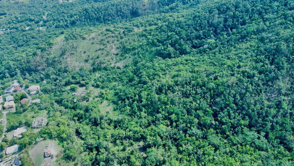 Sixth image of 3-7 Hart Hill in Port Antonio, Portland, Jamaica - property is For Sale