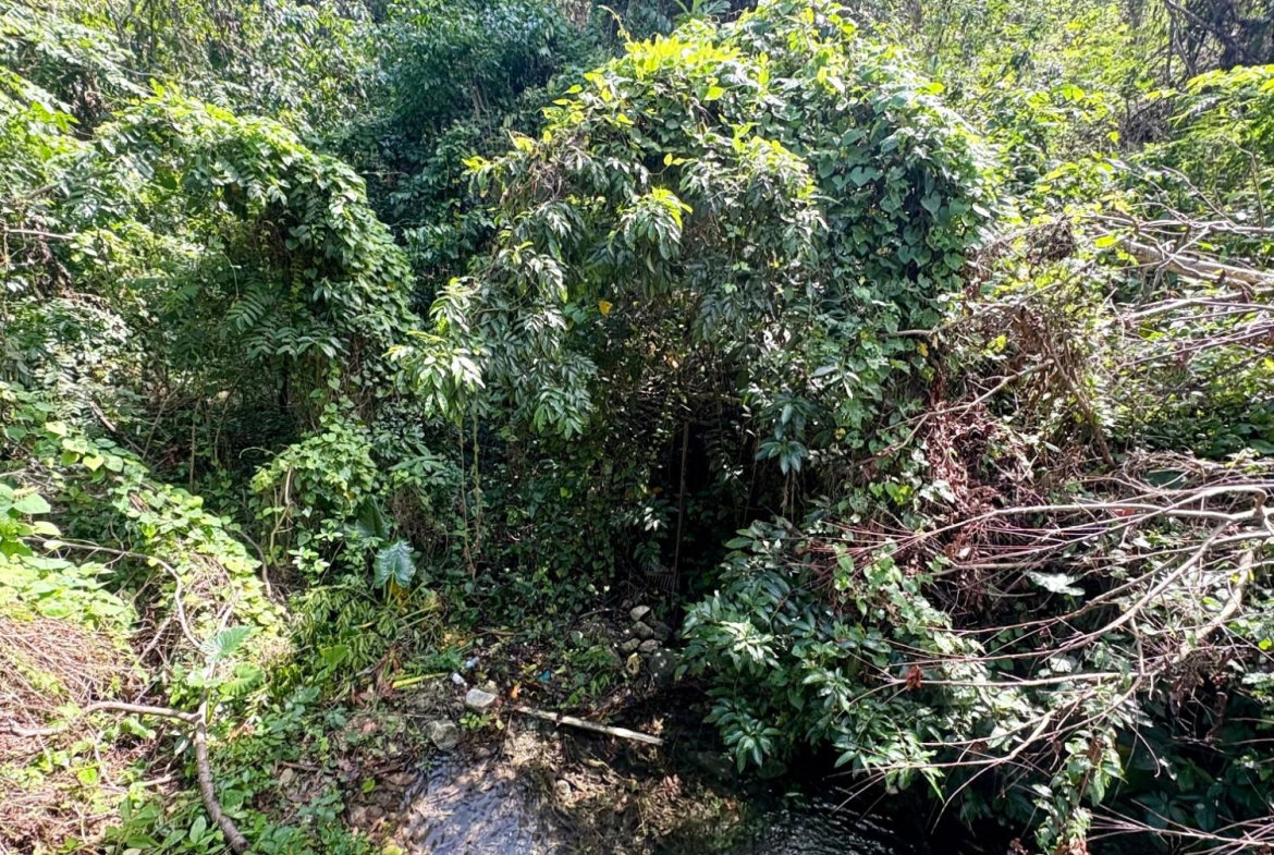 Ninth image of 3-7 Hart Hill in Port Antonio, Portland, Jamaica - property is For Sale